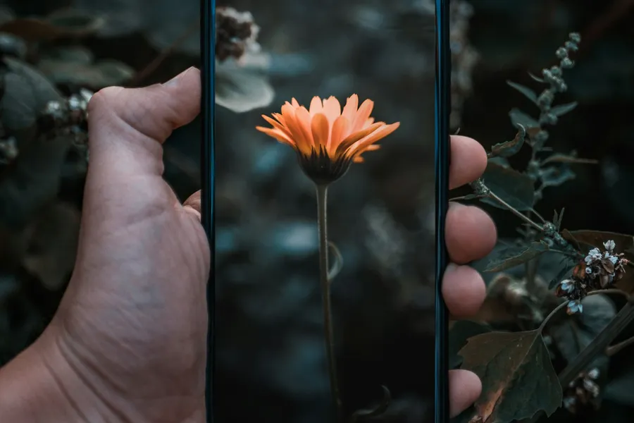 スマートフォンと花
